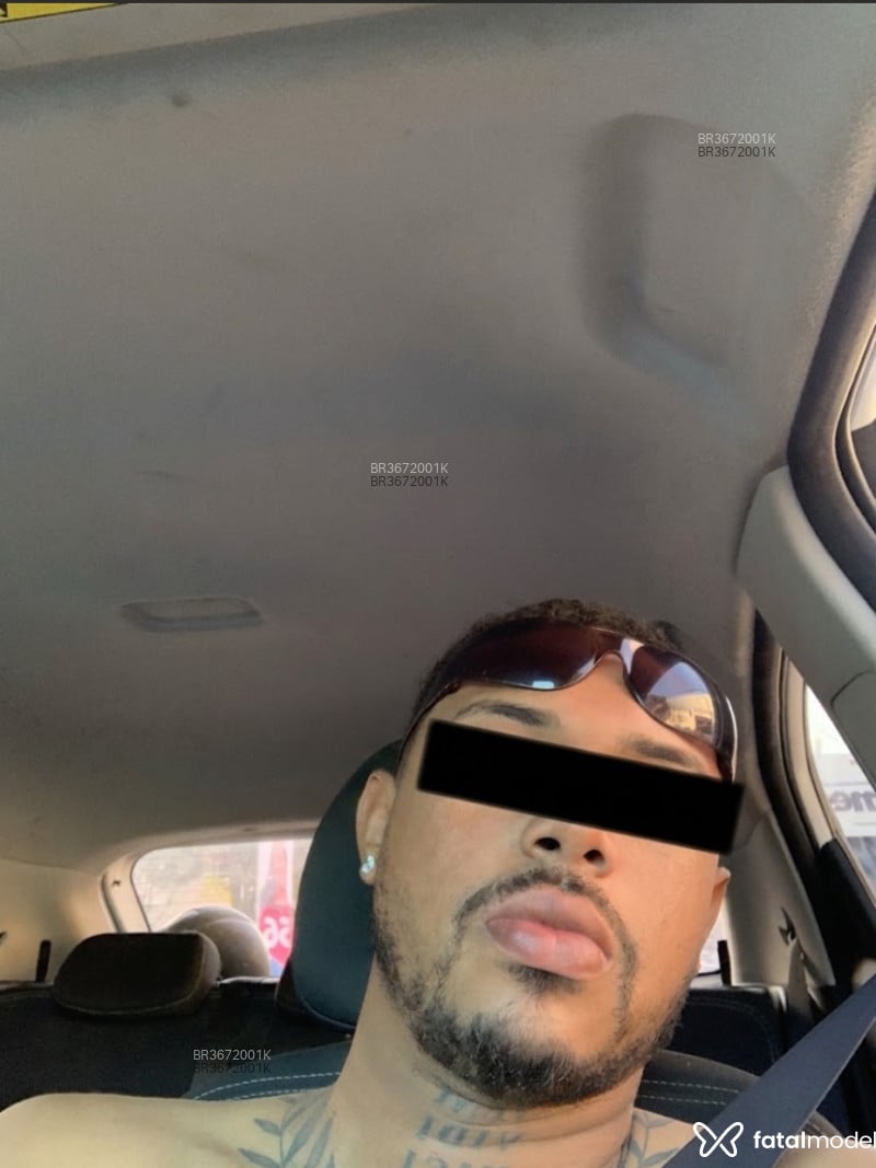 Acompanhante Rodrigues - Feed