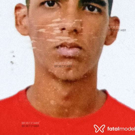 Acompanhante Coelhopx - Feed
