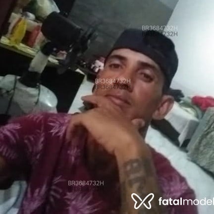 Acompanhante Transariano - Feed