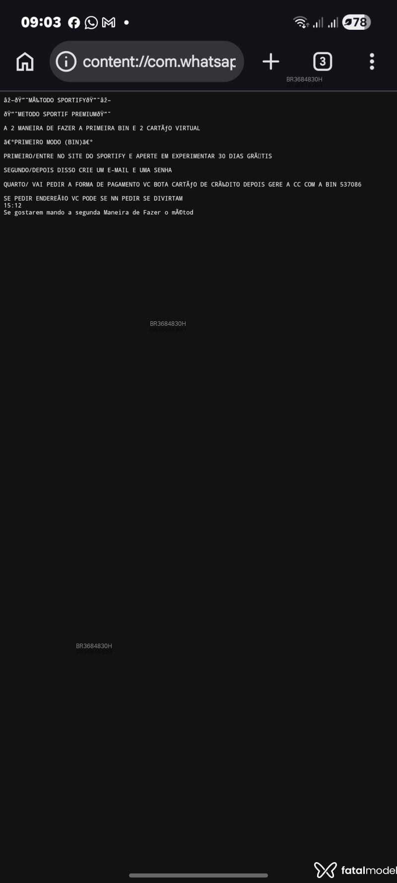 Acompanhante Rjsalles - Feed