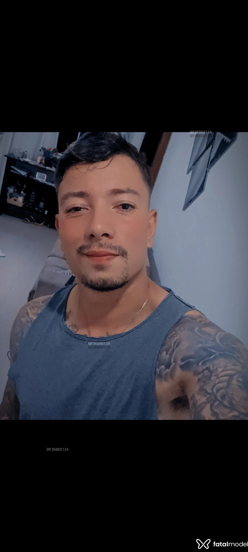Acompanhante Pereirão - Feed