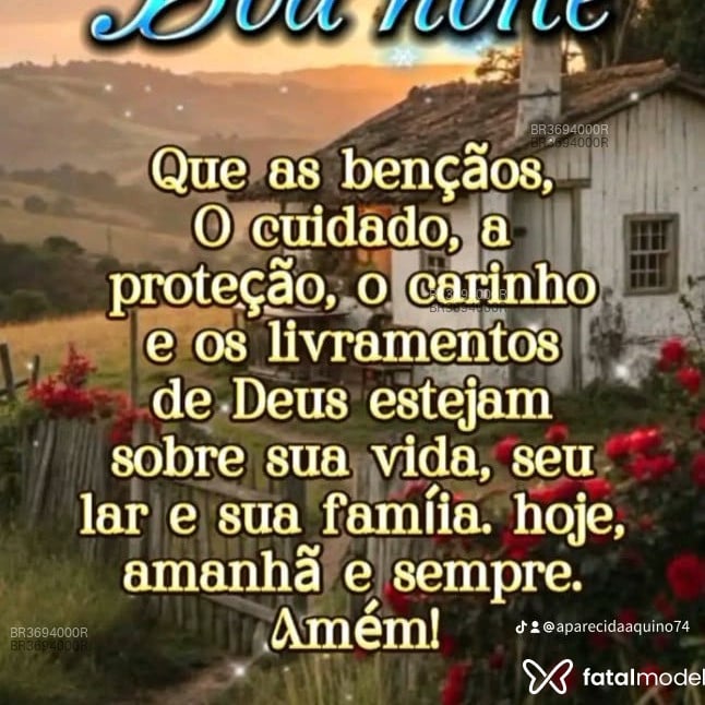Acompanhante Silva Ferreira - Feed