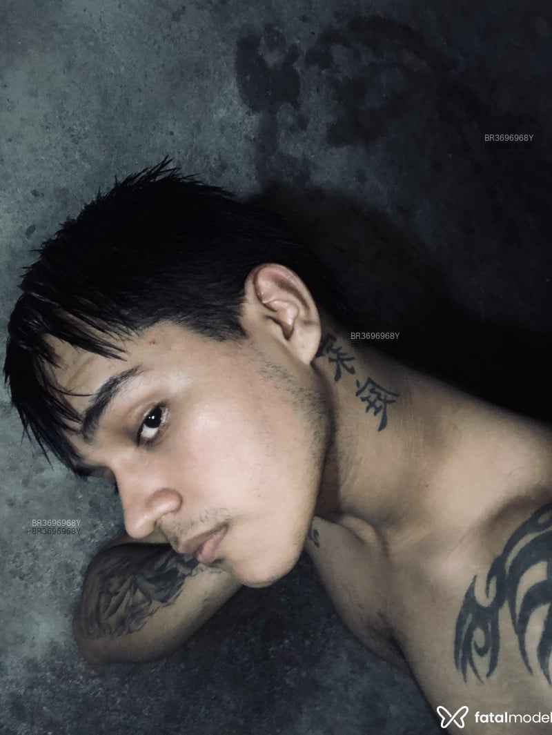 Acompanhante David - Feed