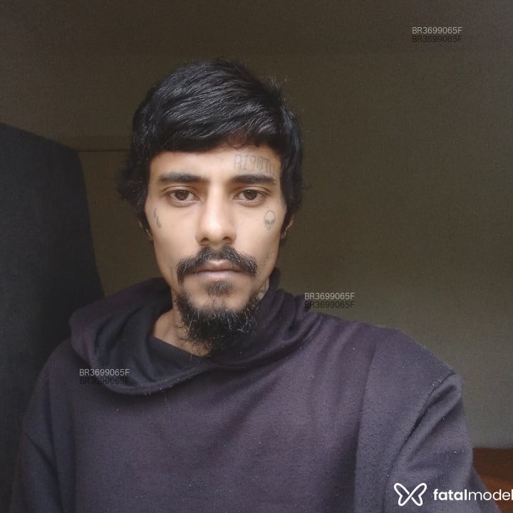 Acompanhante Neguin - Feed