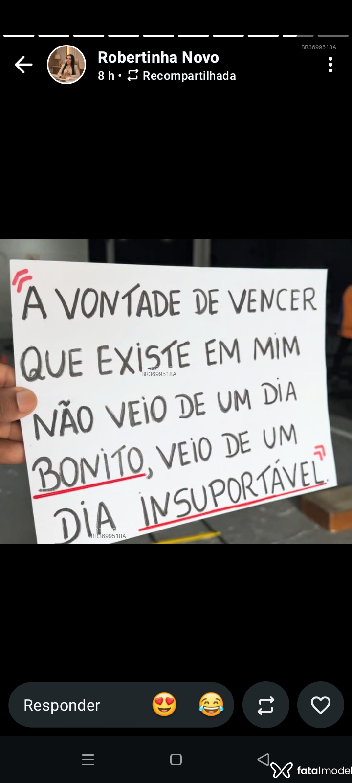 Acompanhante Salomão - Feed