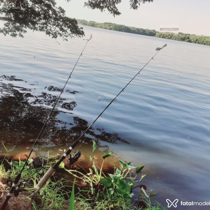 Acompanhante Matheus - Feed