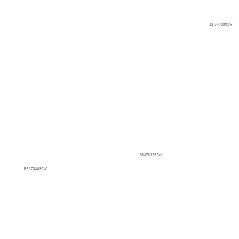 Acompanhante Leito - Feed