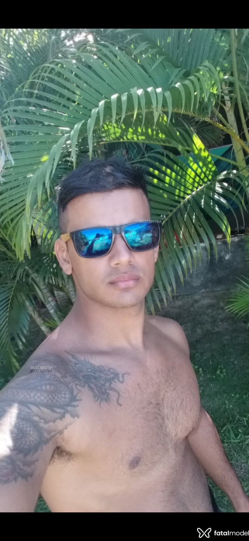 Acompanhante Acealex - Feed