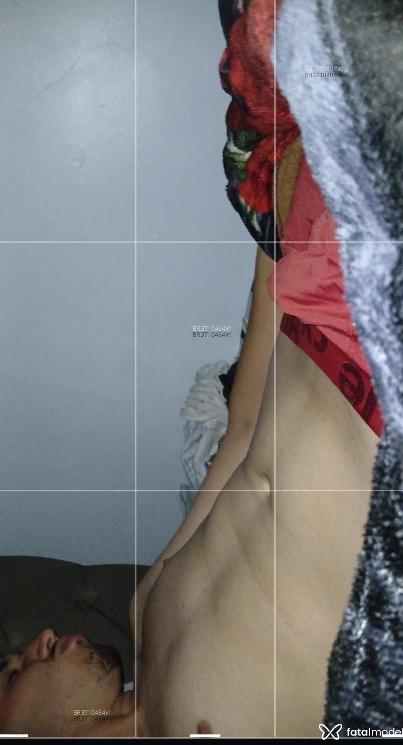 Acompanhante Gaiteiro - Feed