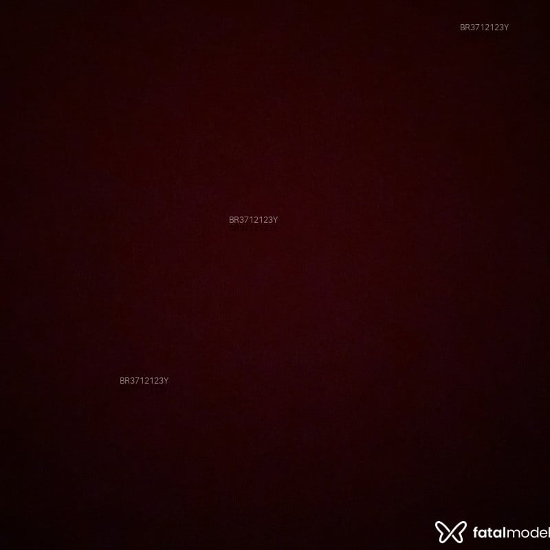 Acompanhante Solteiro - Feed