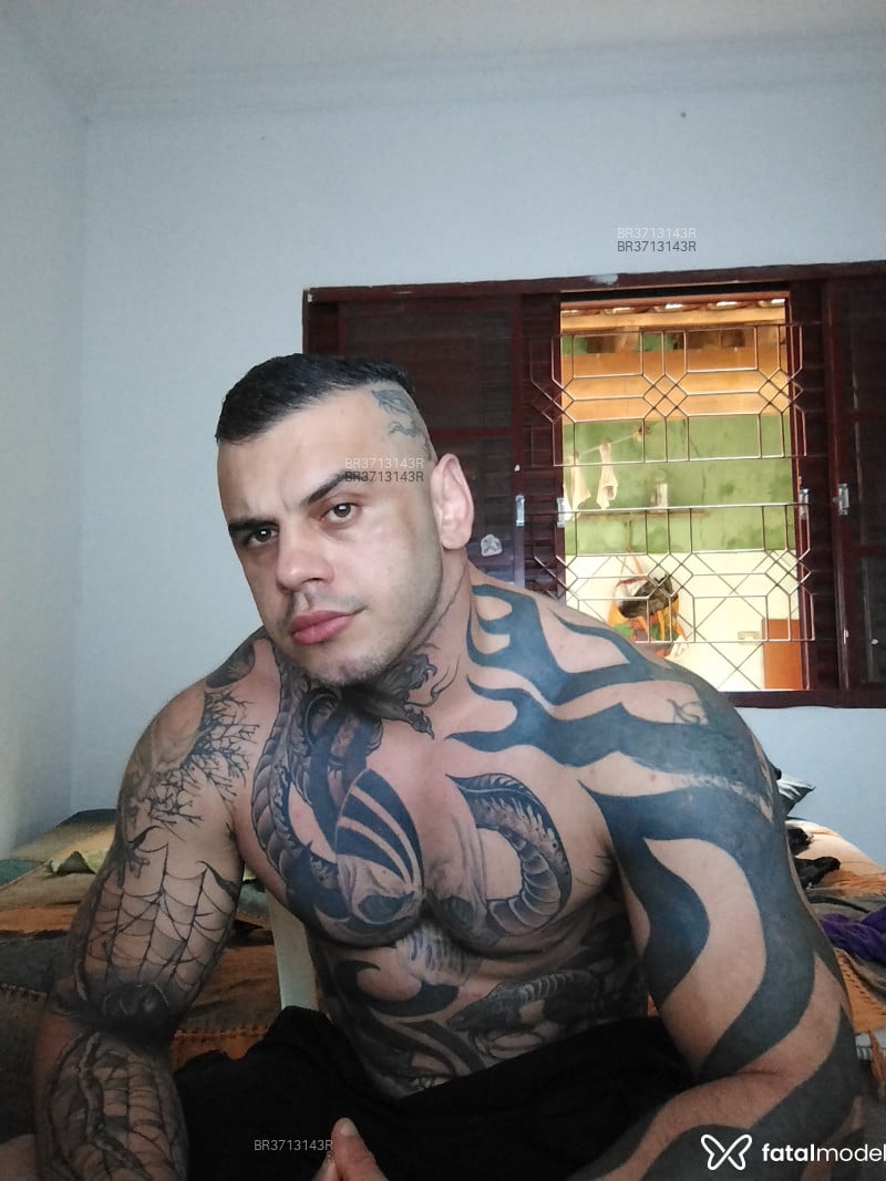 Acompanhante Mausantos - Feed