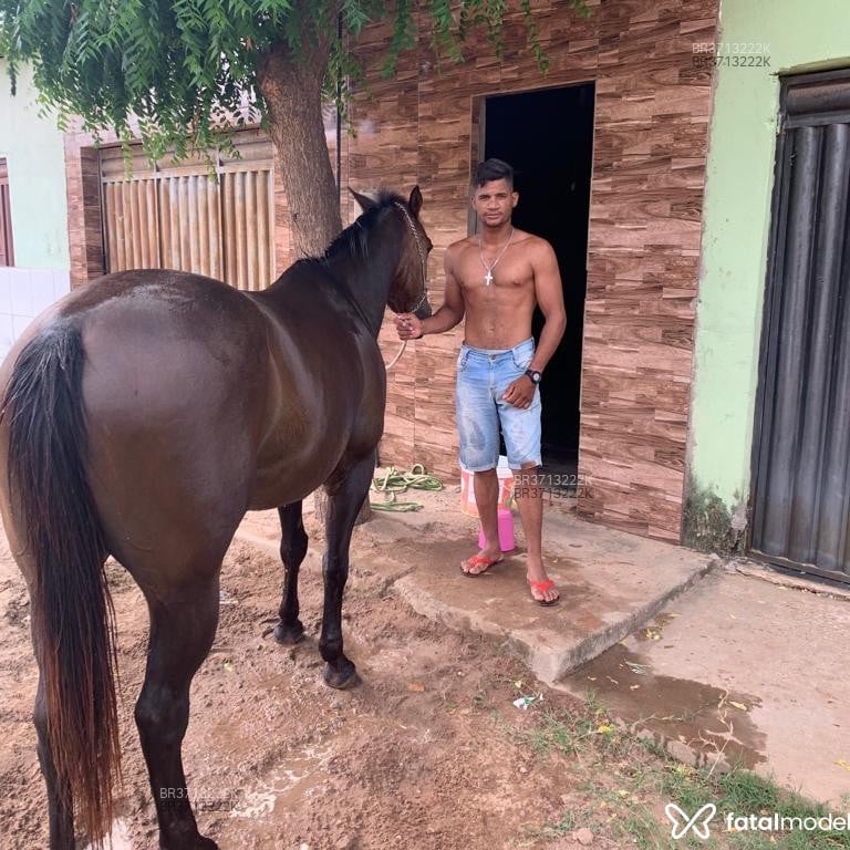 Acompanhante Vaqueiro - Feed