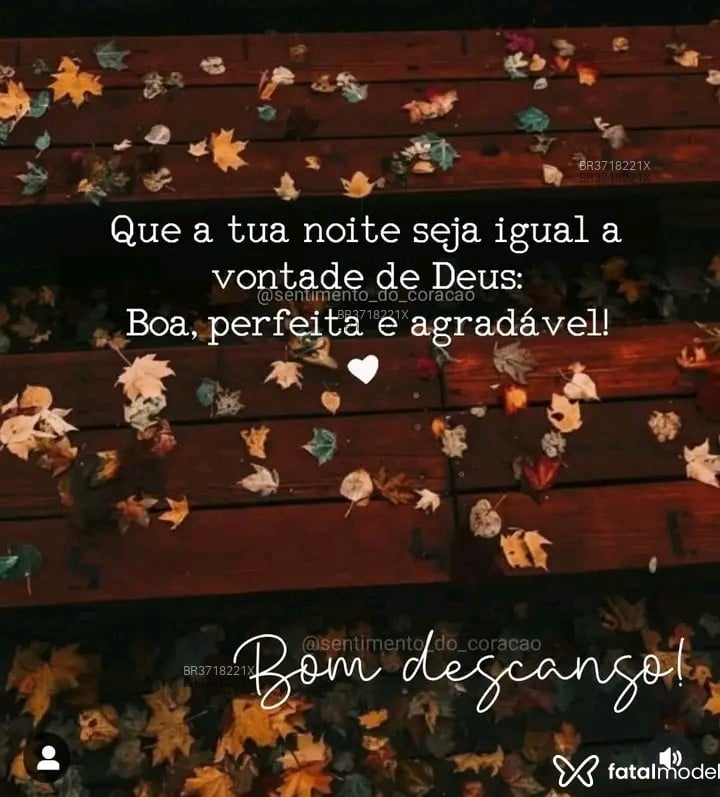 Acompanhante Carla Goncalvez - Feed