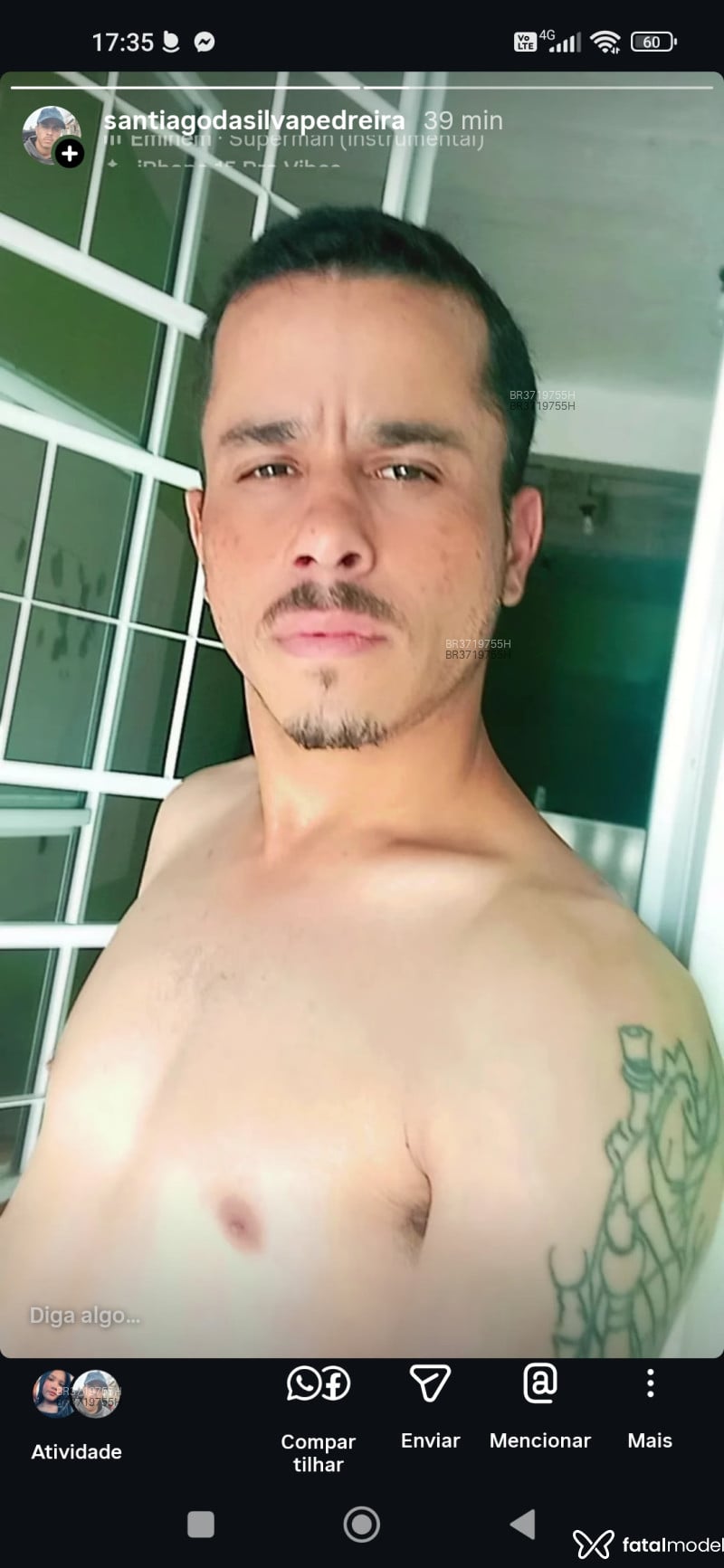 Acompanhante Pequeno - Feed