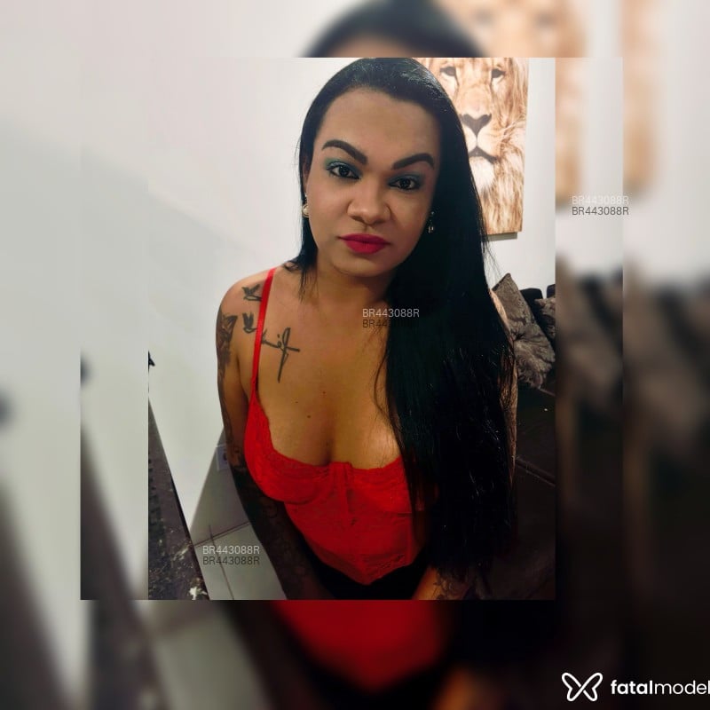 Acompanhante Adriana transexx - Feed
