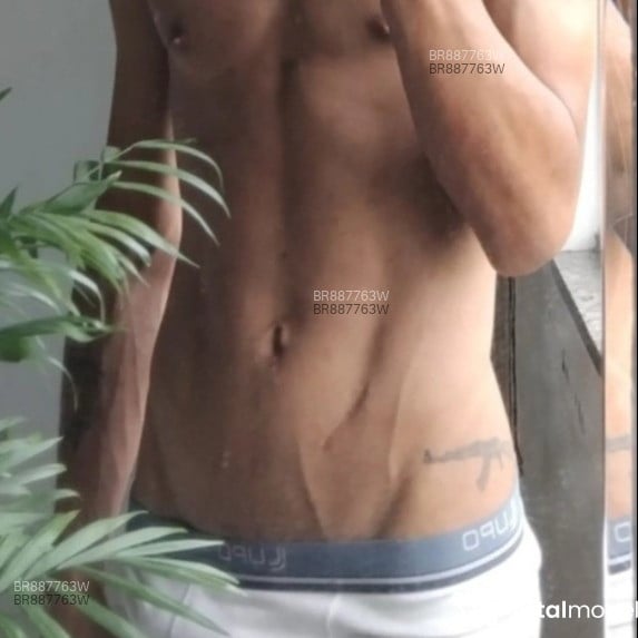 Acompanhante Novinmagro - Feed