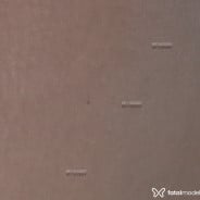 Acompanhante Nilza Sol - Perfil