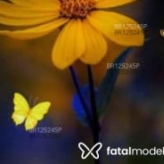 Acompanhante Pat - Perfil