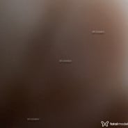 Acompanhante Eduarda - Perfil