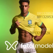 Acompanhante Erick Henrique - Perfil
