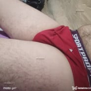 Acompanhante Pereira - Perfil