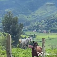 Acompanhante Bruno - Perfil