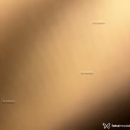 Acompanhante Clara Mendes - Perfil