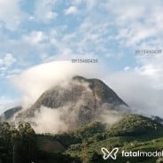 Acompanhante Merlinda - Perfil