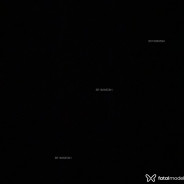Acompanhante vdfc - Perfil