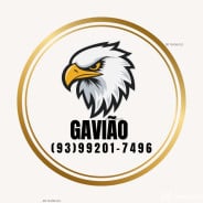 Acompanhante Gavião - Perfil