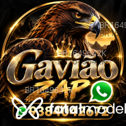 Acompanhante Gavião - Perfil