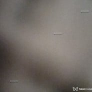 Acompanhante Morena - Perfil