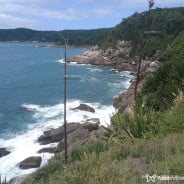 Acompanhante RISHER - Perfil