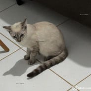 Acompanhante Putadoce - Perfil
