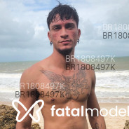 Acompanhante Henrique Lima - Perfil