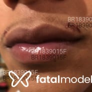 Acompanhante Novinturco - Perfil