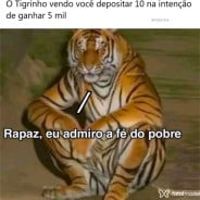 Acompanhante Conta Cancelada - Perfil