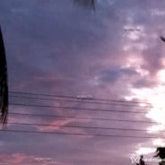 Acompanhante Kdjdbs - Perfil