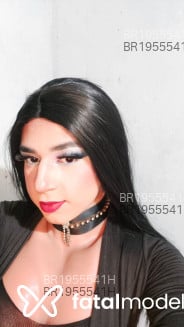 Acompanhante Camilly Lima - Perfil