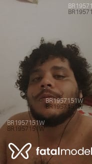 Acompanhante BacoBear - Perfil