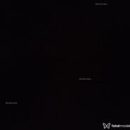 Acompanhante Aninha - Perfil