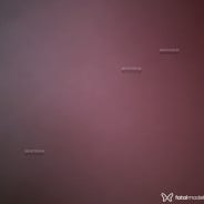 Acompanhante Junior - Perfil