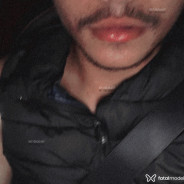 Acompanhante Yvo - Perfil