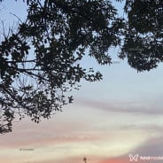 Acompanhante Novinn - Perfil