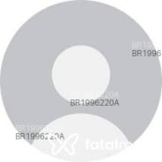 Acompanhante Palzudo Misterioso - Perfil