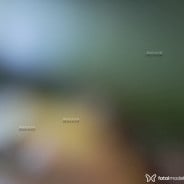 Acompanhante Clara Mansur - Perfil