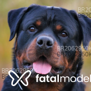 Acompanhante Cachorrão - Perfil