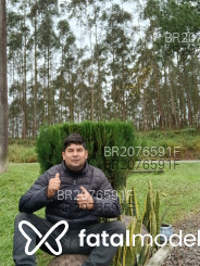 Acompanhante Paulinho - Perfil