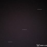 Acompanhante Alexx - Perfil