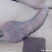 Acompanhante Torugo - Perfil